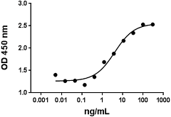 Human IL17F Protein (Recombinant)