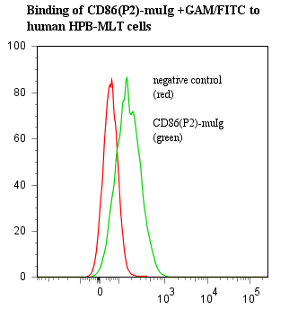 Human CD86 Protein (Recombinant)