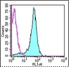 CD2 Antibody (clone RM2-5, FITC)