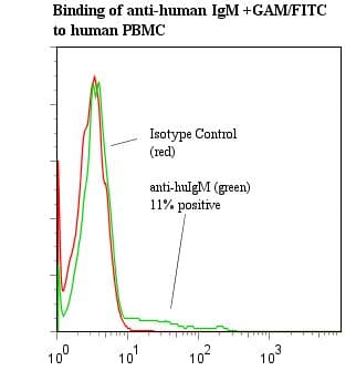Mouse Anti-Human IgM Secondary Antibody (clone UCHB1, Azide-free)