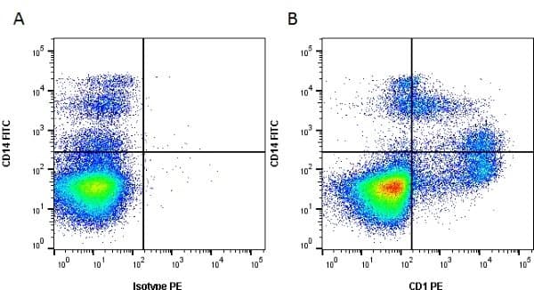 CD1 Antibody (clone 76-7-4)