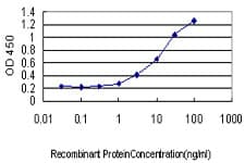 MPZ / P0 Antibody (clone 3B12)