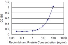 PMCH / MCH Antibody (clone 1D1)