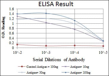 APOB / Apolipoprotein B Antibody (clone 6G6)