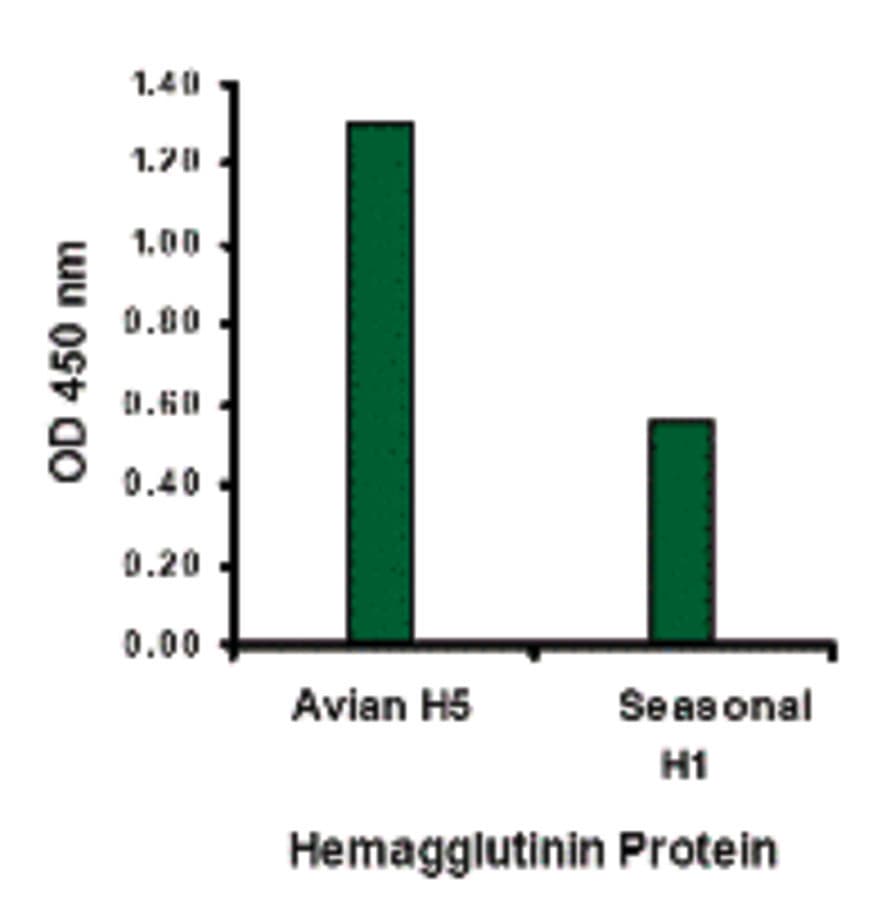 Influenza A Virus Hemagglutinin Antibody