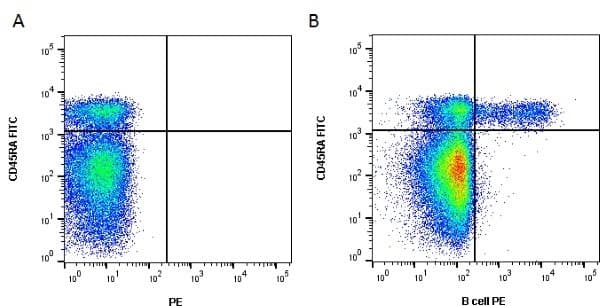 B cell Antibody (clone BB6-10A10)