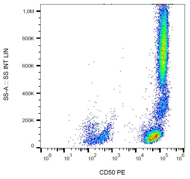 Monoclonal Mouse anti-Human ICAM3 / CD50 Antibody (clone MEM-171, PE)