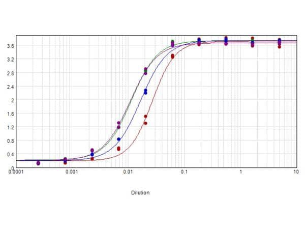 Rabbit Anti-Cat IgG Fc Secondary Antibody (HRP)