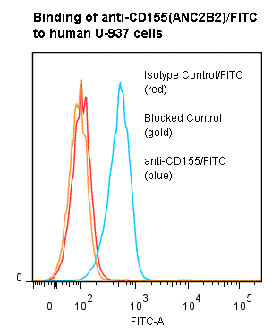 PVR / CD155 Antibody (clone ANC2B2, FITC)