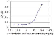Monoclonal Mouse anti-Human CYR61 Antibody (clone 3C11)