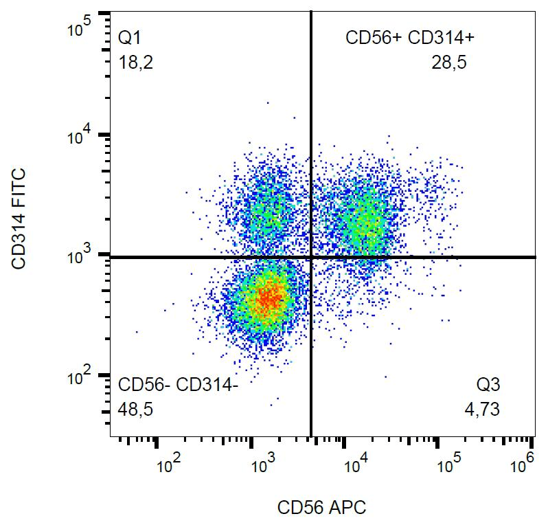 Monoclonal Mouse anti-Human KLRK1 / CD314 / NKG2D Antibody (clone 1D11, FITC, IHC)