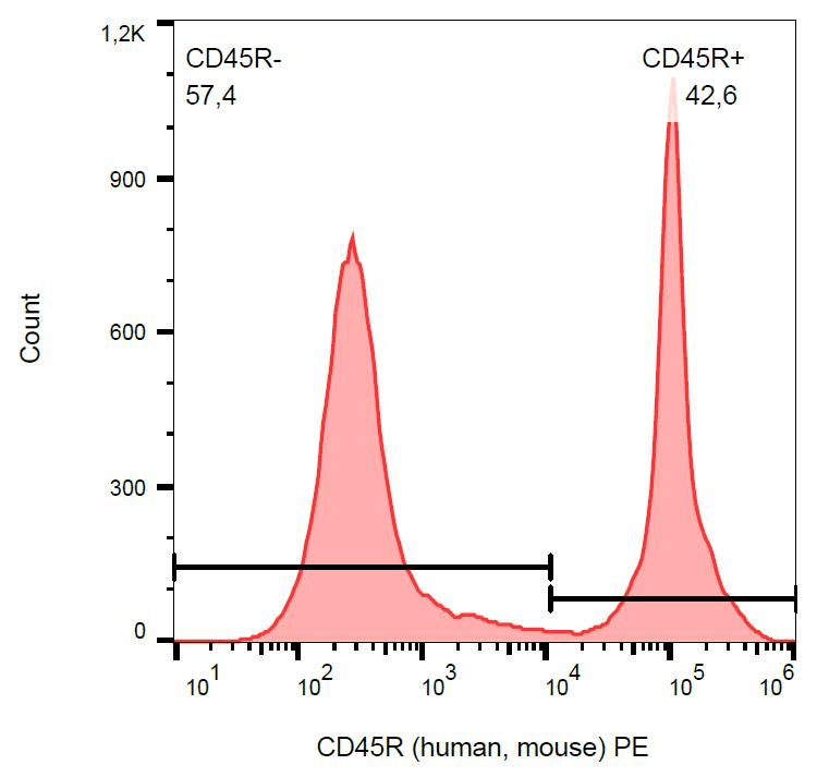 CD45 / LCA Antibody (clone RA3-6B2, PE)