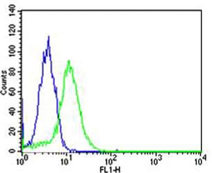 TOP1 / Topoisomerase I Antibody (N-Terminus, clone 1291CT875.142.166)