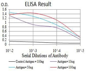 AURKA / Aurora-A Antibody (aa268-404, clone 2D8A4)