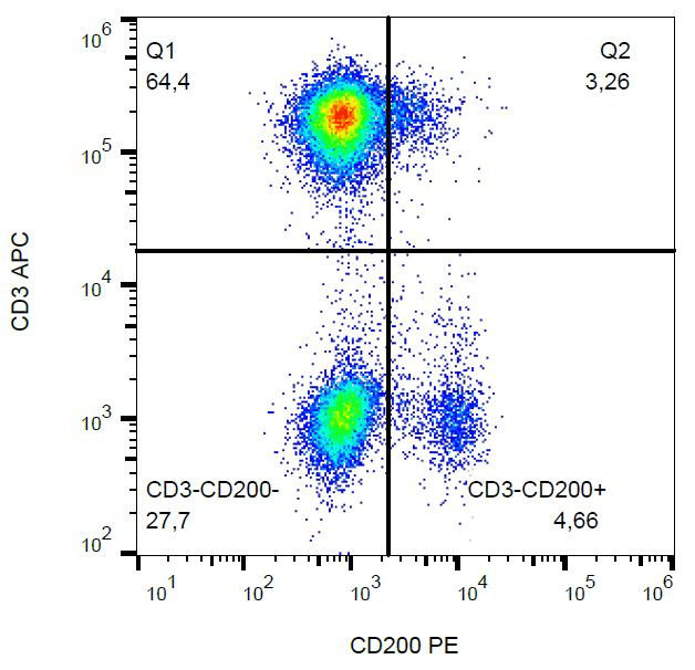 CD200 Antibody (clone OX-104, PE)