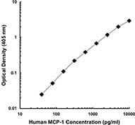 CCL2 / MCP1 Antibody (clone 2H5)
