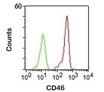 CD46 Antibody (clone 122.2, Azide-free, BSA-free)