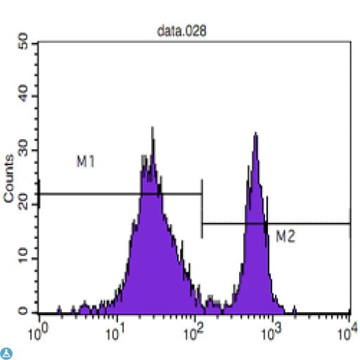 CD4 Antibody