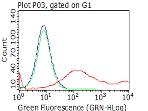 HAVCR2 / TIM-3 Antibody (clone OTI1G6, Carrier-free)