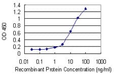 HSF4 Antibody (clone 1A4)
