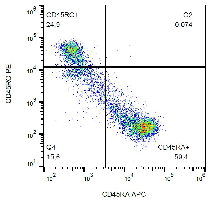 CD45RO Antibody (clone UCHL1, PE)