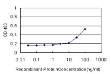 SOD3 Antibody (clone 5C3)