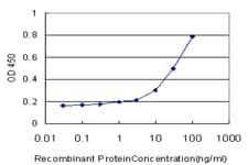 Monoclonal Mouse anti-Human RAP1A Antibody (clone 3E1, WB)