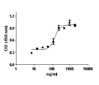 Mouse IL17F Protein (Recombinant)
