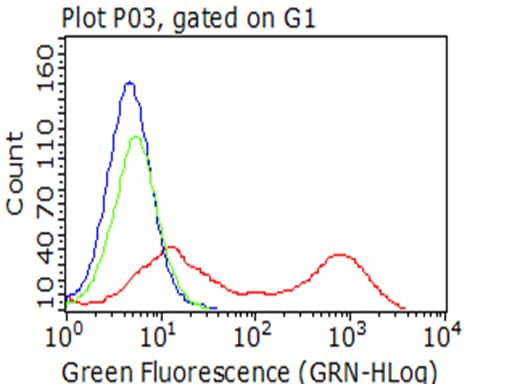IGF1R / IGF1 Receptor Antibody (aa741-935, clone OTI4C4)