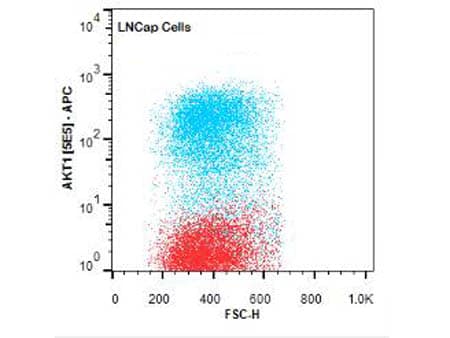 Monoclonal Mouse anti-Human AKT1 Antibody (clone 5E5.F5.D7, APC, Internal, IHC, IF, WB)