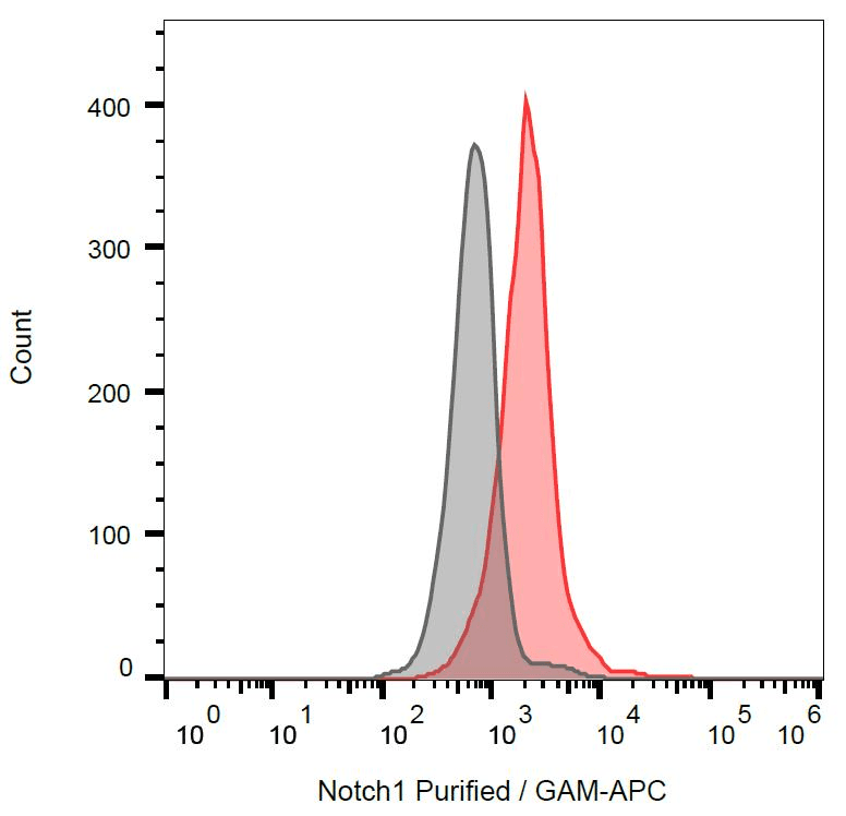 Monoclonal Mouse anti-Mouse NOTCH1 Antibody (clone mN1A, IHC, WB)