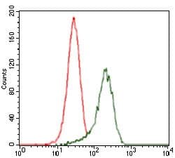 Monoclonal Mouse anti-Human SHH / Sonic Hedgehog Antibody (clone 5H4, Amino Acid: 26-161, IHC, WB)