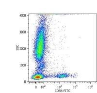 NCAM / CD56 Antibody (clone MEM-188, FITC)