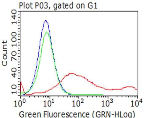 HAVCR2 / TIM-3 Antibody (clone OTI7B10)
