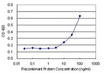 FKBP6 Antibody (clone 8F10)