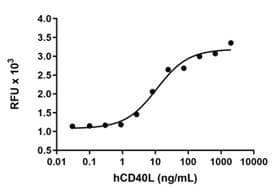 Human CD40L Protein (Recombinant)