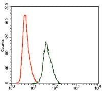ARHGDIA / RHOGDI Antibody (Amino Acid: FULL 1-204, clone 2G3)