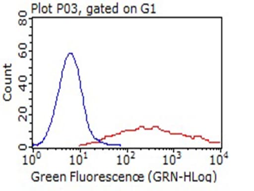 LAMP1 / CD107a Antibody (aa29-382, clone OTI8B1)