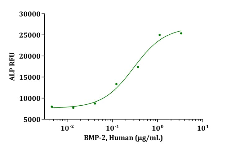 Human BMP2 Protein (Recombinant)