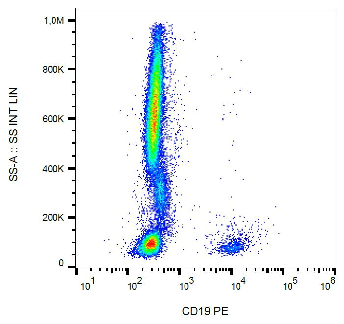 Monoclonal Mouse anti-Human CD19 Antibody (clone 4G7, PE)