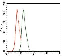 CBX8 Antibody (Amino Acid: 17-222, clone 9C3D4)