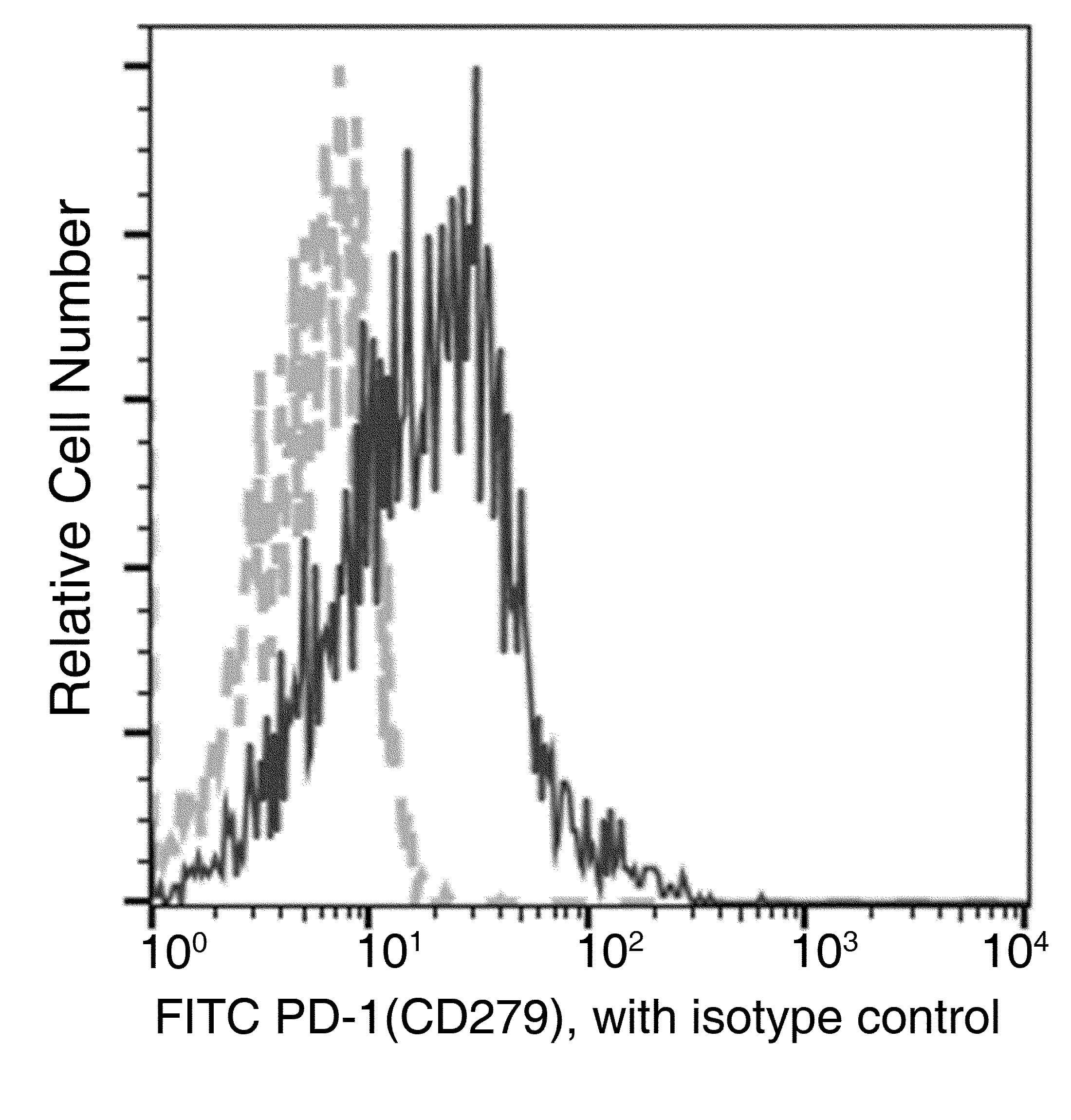 PDCD1 / CD279 / PD-1 Antibody (clone 18, FITC)