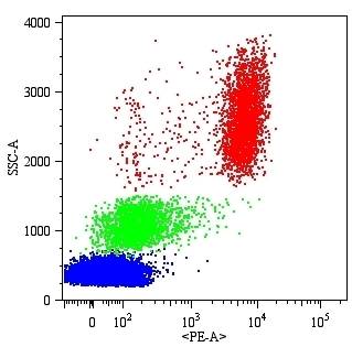 Monoclonal Mouse anti-Human FCGR3A / CD16A Antibody (clone MEM-154, PE, WB)