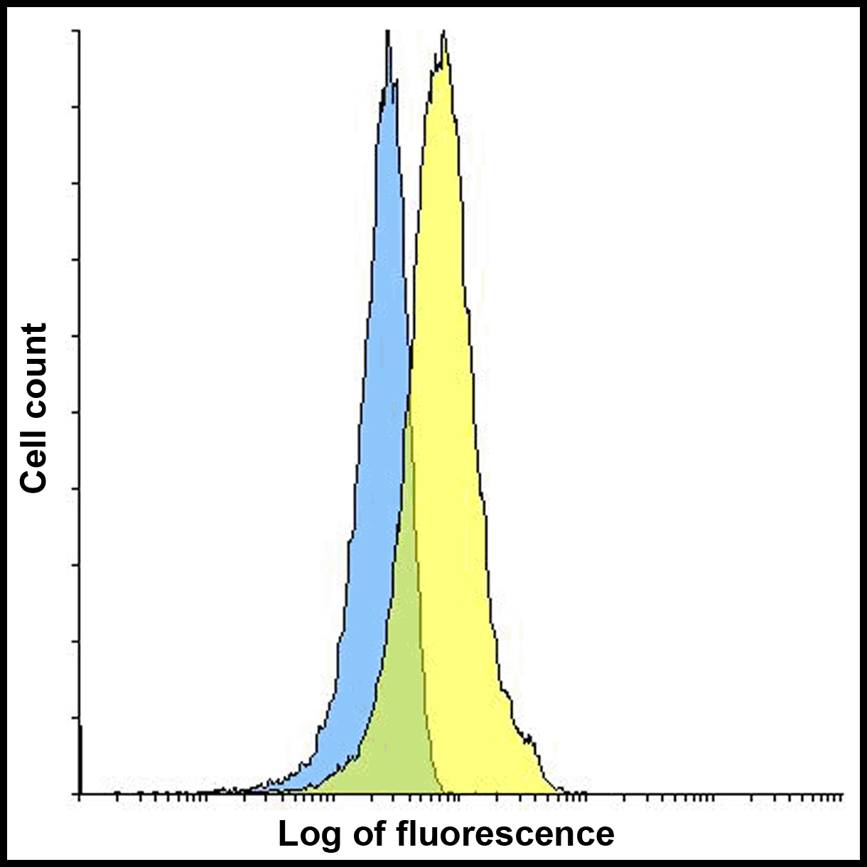CD274 / B7-H1 / PD-L1 Antibody (clone 8E12)