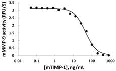 Mouse TIMP1 Protein (Recombinant)