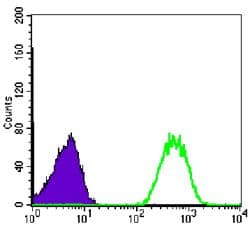 NME1 / NM23 Antibody (clone 4B2)