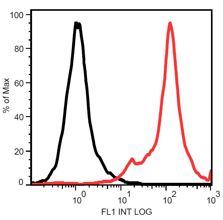 Monoclonal Mouse anti-Human STRO-1 Antibody (clone STRO-1)
