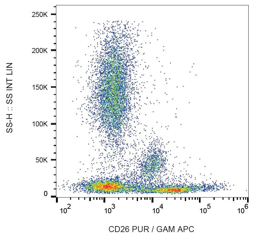 Monoclonal Mouse anti-Human DPP4 / CD26 Antibody (clone BA5b)