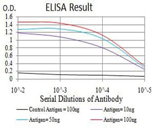 ARHGAP42 Antibody (clone 2F1A7)