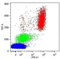 CD16 Antibody (clone MEM-154, PE)